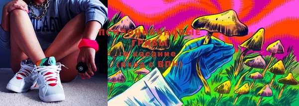 apvp Тобольск