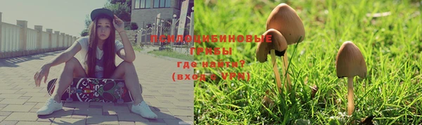 ПСИЛОЦИБИНОВЫЕ ГРИБЫ Тайга